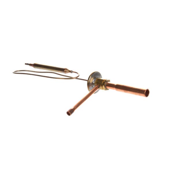 Expansion Valve